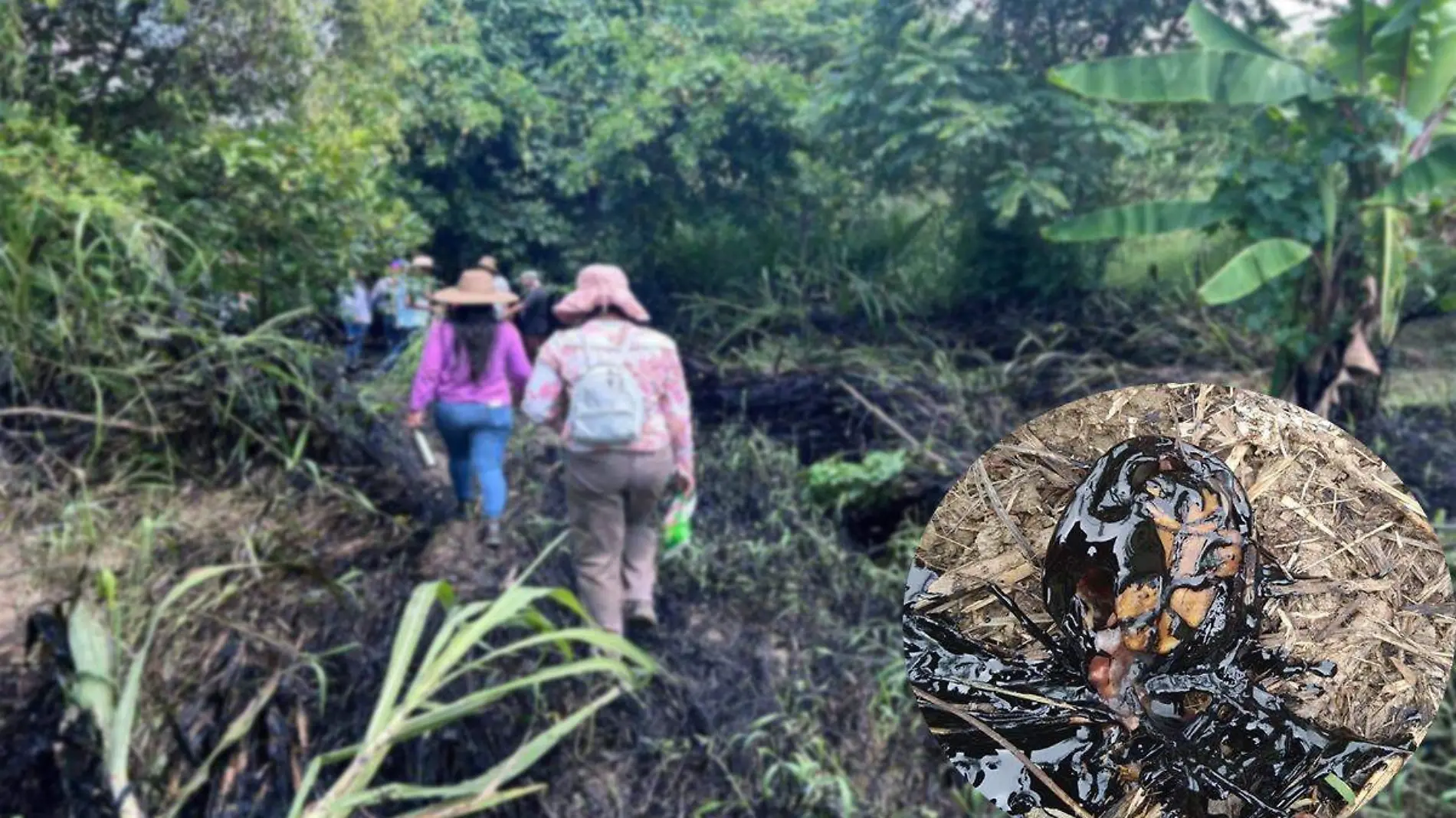 Derrame de hidrocarburo en Papantla